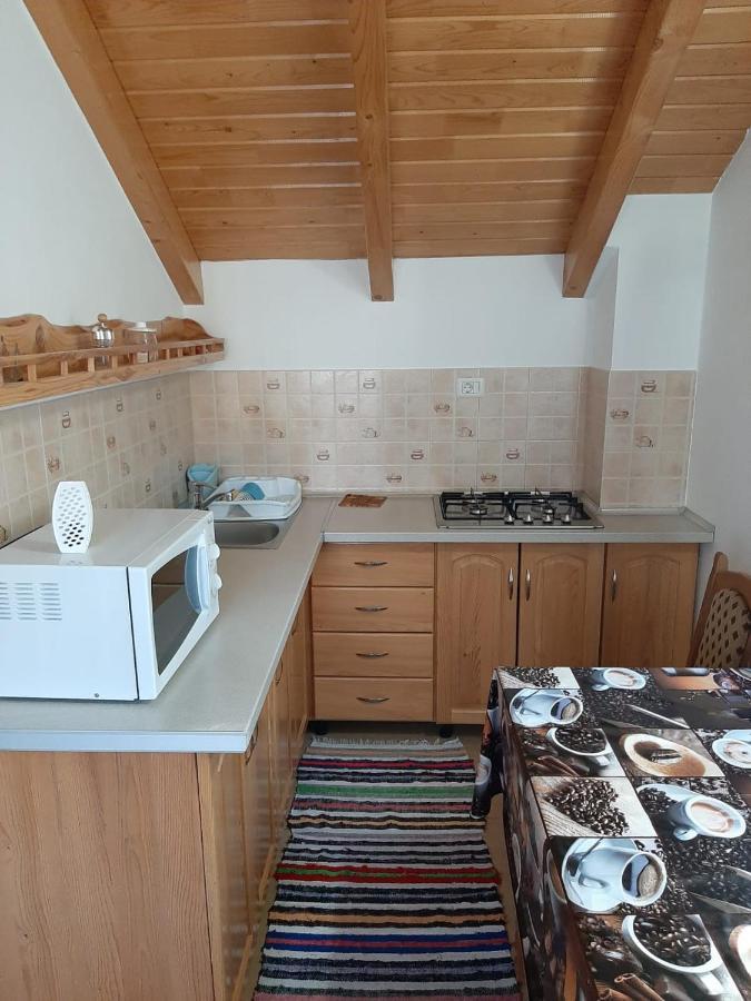 Borşa Casuta Pietrosul Rodnei 아파트 외부 사진