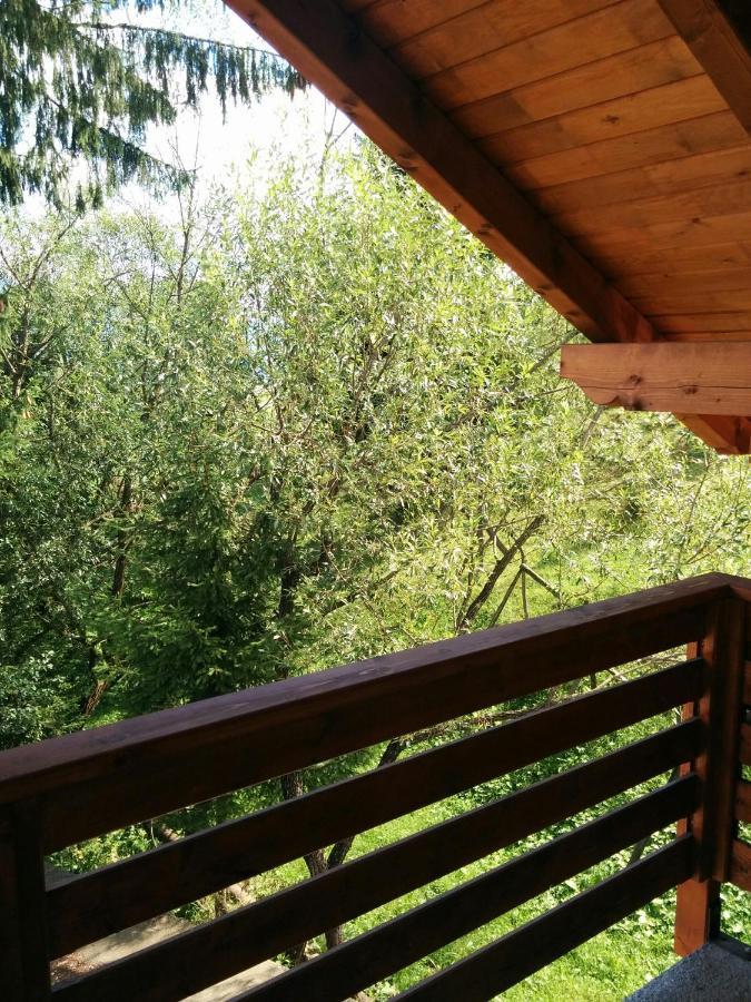 Borşa Casuta Pietrosul Rodnei 아파트 외부 사진