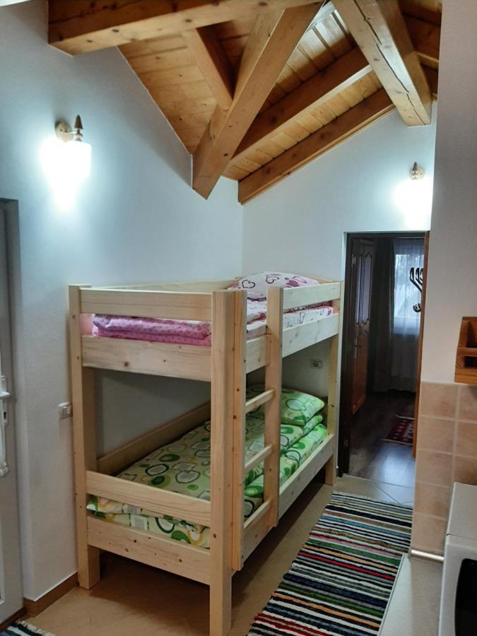 Borşa Casuta Pietrosul Rodnei 아파트 외부 사진